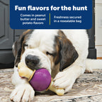 Discover PetSafe Busy Buddy Treat Rings, featuring fun flavors and freshness secured in a resealable bag. Exclusively at Curat Cart.