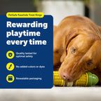 PetSafe Busy Buddy Treat Rings ensure quality playtime for pets. 100% Authentic, available at Curat Cart in India.