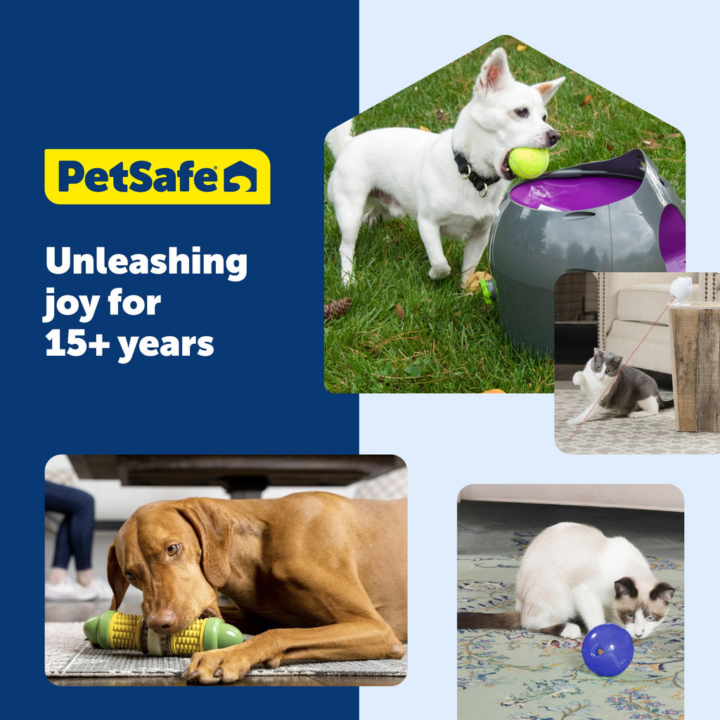 PetSafe Busy Buddy Treat Rings provide joy for pets. 100% Authentic, available at Curat Cart in India.