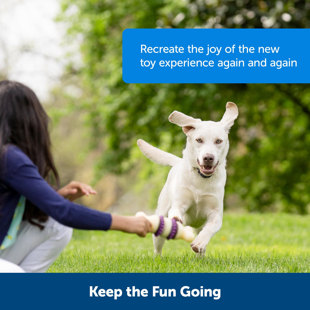 Engage your pet with PetSafe Busy Buddy Treat Rings, perfect for daily fun and bonding. Available at Curat Cart.