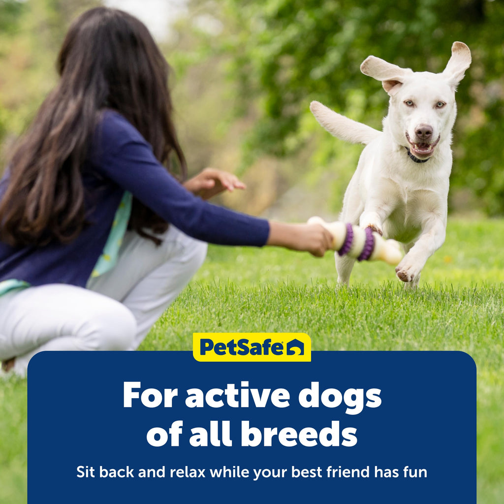 PetSafe Busy Buddy Treat Rings, premium imported dog toy for active breeds, available at Curat Cart. Enjoy playtime with your furry friend.