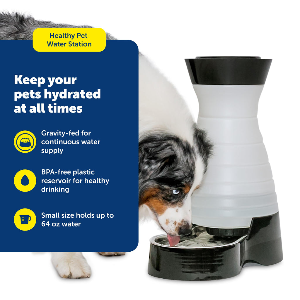 The PetSafe Healthy Pet Water Station offers gravity-fed hydration in high-quality BPA-free plastic, perfect for keeping pets hydrated. Available at Curat Cart.