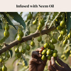 Discover the Plant Leaf Cleaner & Shine infused with neem oil, showcasing high-quality natural ingredients. Available at Curat Cart.