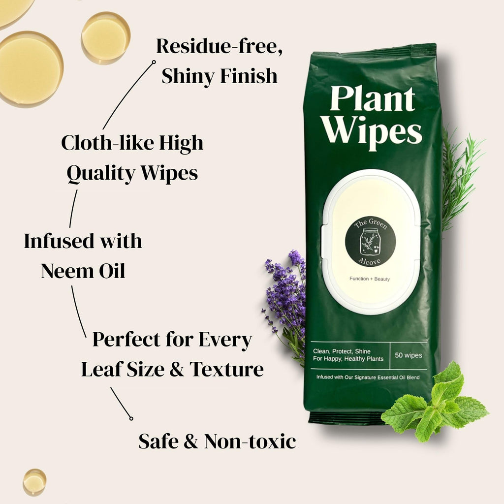 Plant Leaf Cleaner & Shine offers residue-free, shiny finish with high-quality wipes infused with neem oil. A premium import available at Curat Cart.
