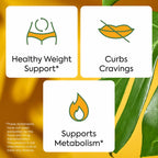 Explore Plant People WonderBurn Gummies for healthy weight support, craving control, and metabolism boost. Available at Curat Cart.