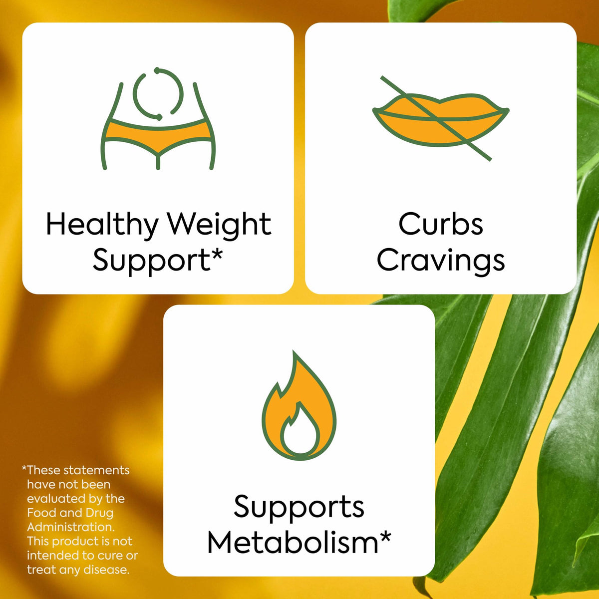 Explore Plant People WonderBurn Gummies for healthy weight support, craving control, and metabolism boost. Available at Curat Cart.