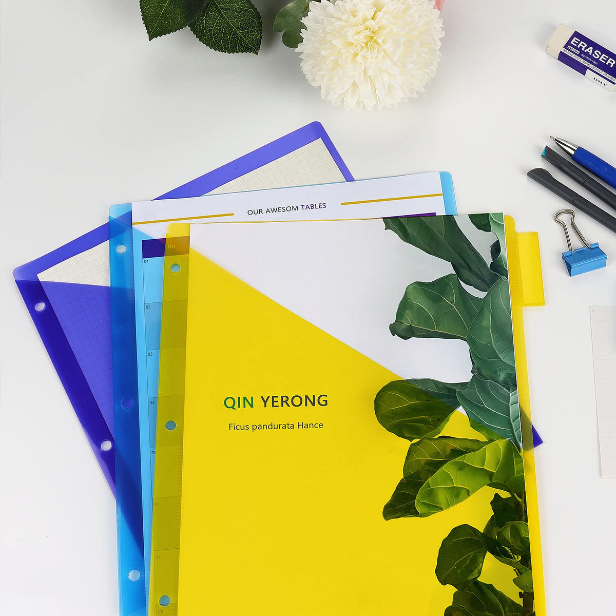 Colorful Plastic Binder Dividers with Pocket, 100% Authentic, available in India at Curat Cart. Perfect for organization.