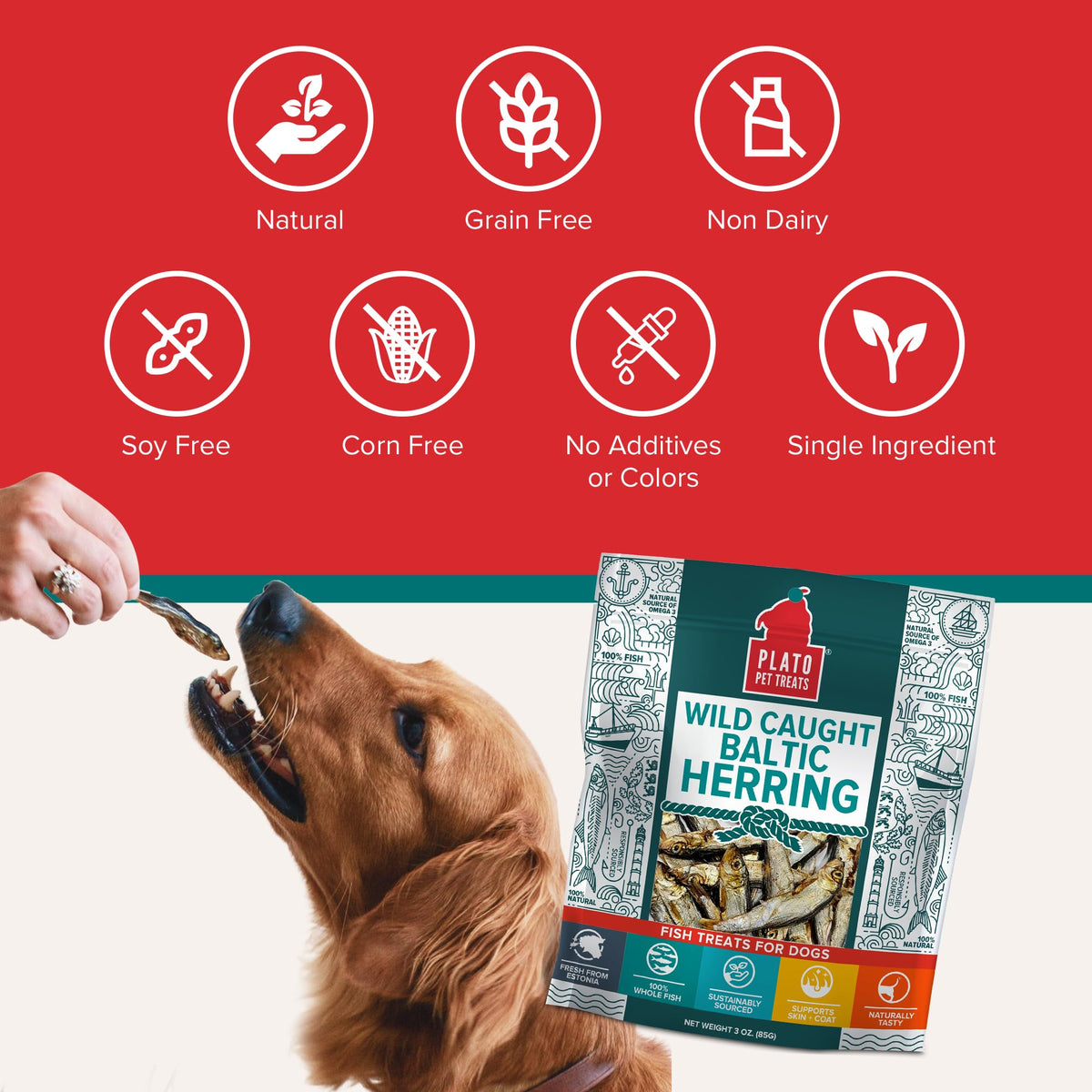 Premium imported Plato Pet Treats Fish Dog Treats offer natural, single-ingredient herring for your furry friend. Available at Curat Cart.