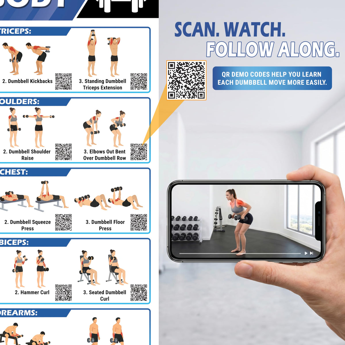 High-quality POCAZONE Dumbbell Workout Posters showcase effective exercises. Available at Curat Cart for your fitness journey.