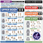Explore premium imported POCAZONE Dumbbell Workout Posters featuring diverse exercises for full-body training, available at Curat Cart.