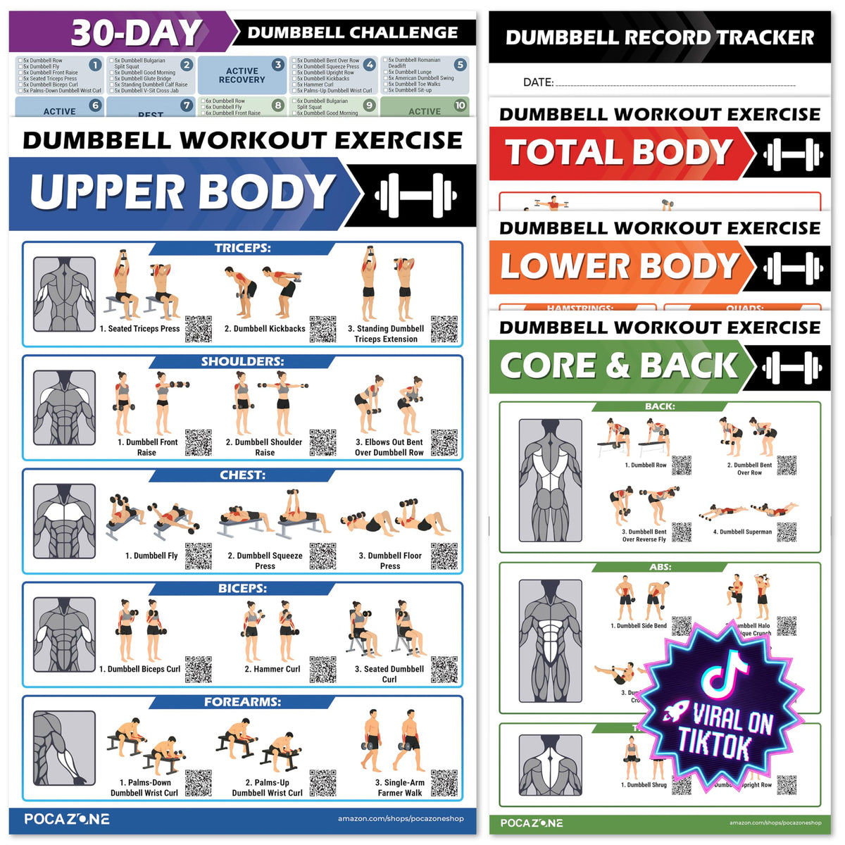 Explore premium imported POCAZONE Dumbbell Workout Posters featuring diverse exercises for full-body training, available at Curat Cart.