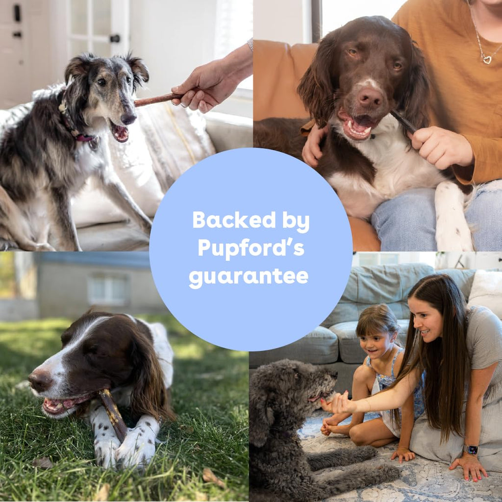 Pupford Collagen Stick Chews promoting healthy chewing for dogs, 100% Authentic and available at Curat Cart in India.