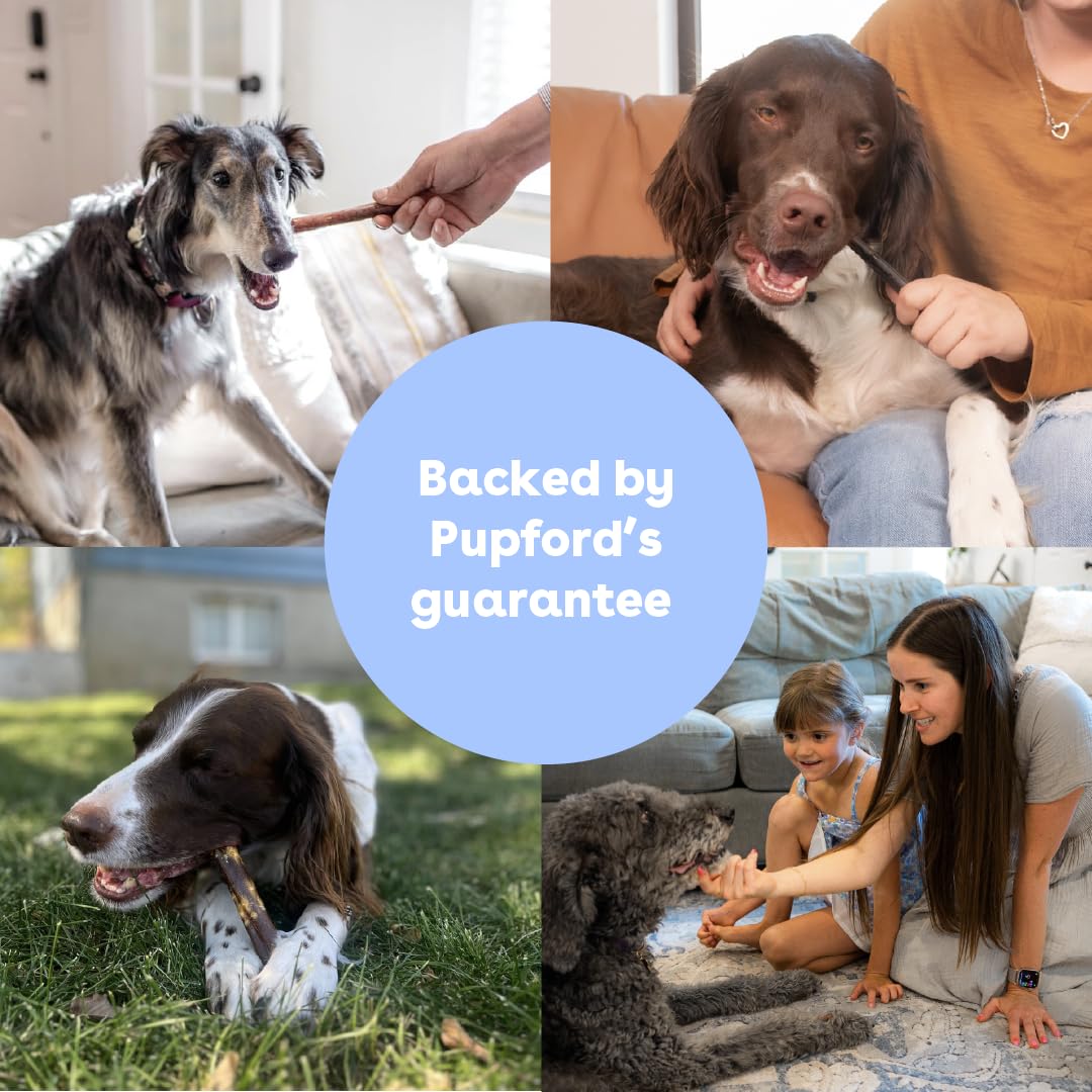Pupford Collagen Stick Chews promoting healthy chewing for dogs, 100% Authentic and available at Curat Cart in India.