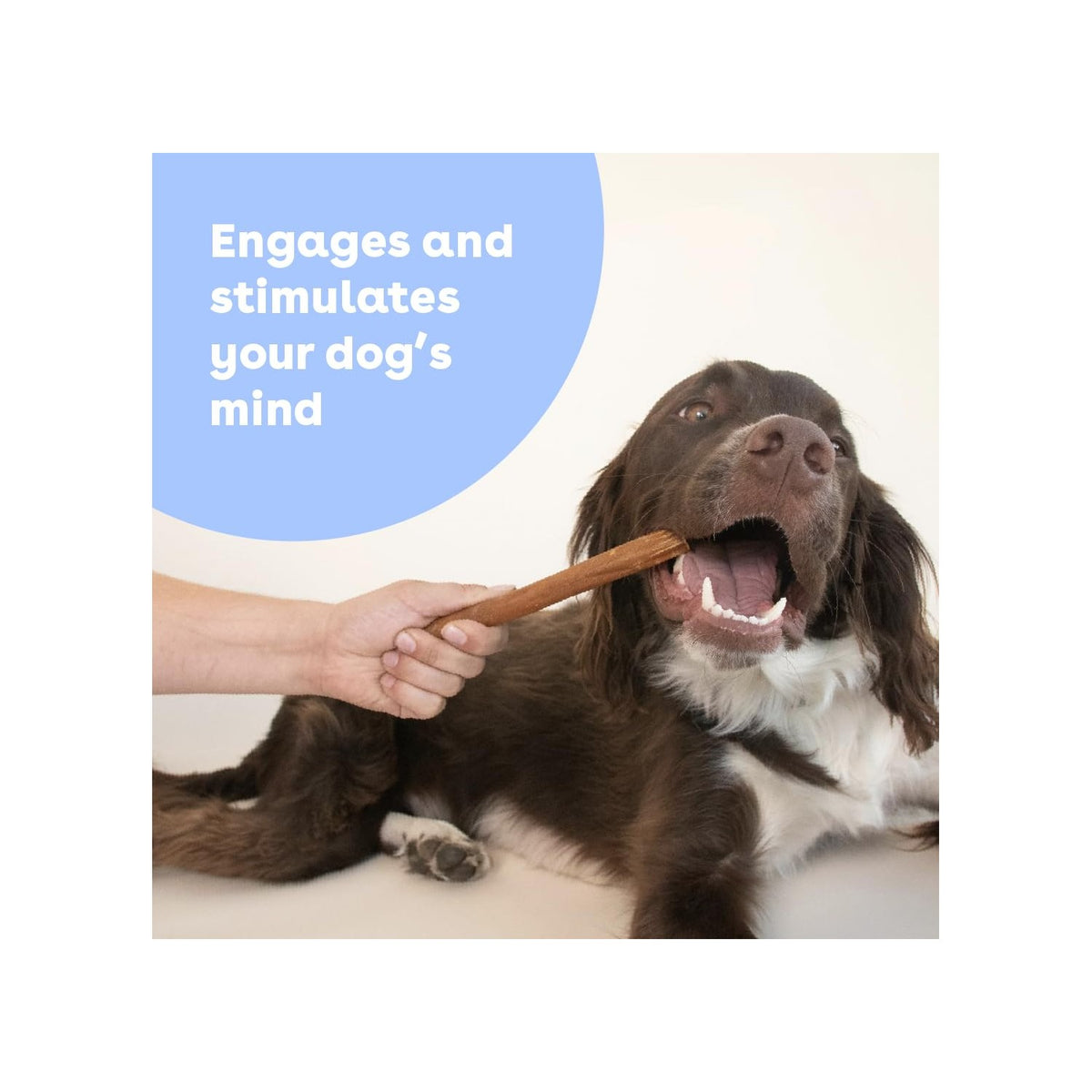 Pupford Collagen Stick Chews engage your dog's mind while being presented in high-quality packaging. Available at Curat Cart.
