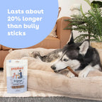 Pupford Collagen Stick Chews for dogs, a premium import, providing longer-lasting enjoyment. Available at Curat Cart.
