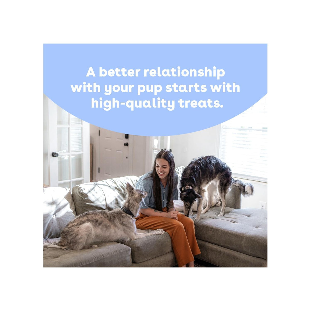 Engaging moment with dogs enjoying Pupford Collagen Stick Chews, promoting high-quality treats for a better relationship. Available at Curat Cart.