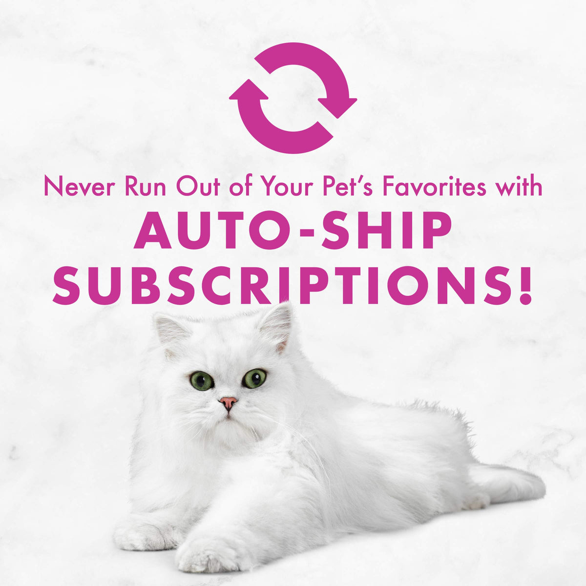 Purina Fancy Feast Chicken Pate featured with a fluffy white cat promoting auto-ship subscriptions on Curat Cart.