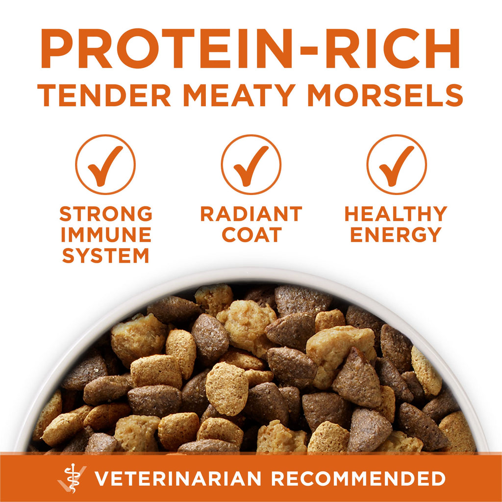 Purina ONE Healthy Weight Dog Food features protein-rich, tender morsels for a strong immune system, available at Curat Cart in India.