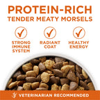 Purina ONE Healthy Weight Dog Food features protein-rich, tender morsels for a strong immune system, available at Curat Cart in India.