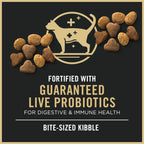 Purina Pro Plan Cat Food features bite-sized kibble fortified with guaranteed live probiotics for digestive health. Premium import at Curat Cart.
