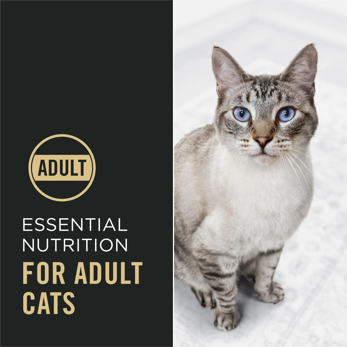 Purina Pro Plan Cat Food offers essential nutrition for adult cats, ensuring 100% authenticity and availability in India at Curat Cart.