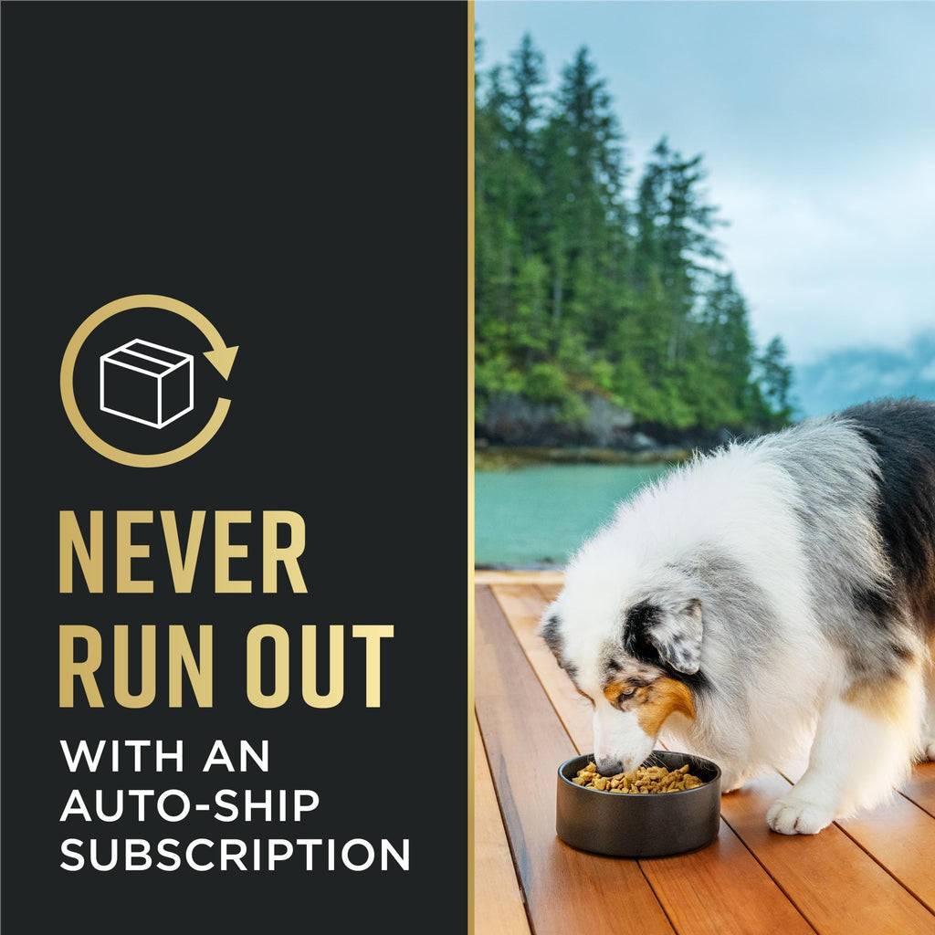 Purina Pro Plan Dog Food, a premium import, ensures your pet enjoys every bite. Available at Curat Cart for your furry friend.