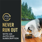 Purina Pro Plan Dog Food, a premium import, ensures your pet enjoys every bite. Available at Curat Cart for your furry friend.