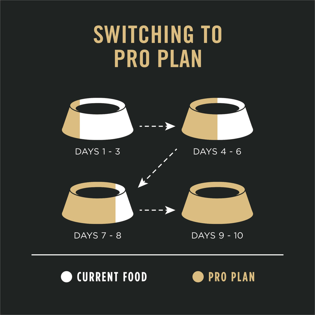 Guideline for transitioning to Purina Pro Plan Dog Food, highlighting the gradual switch for optimal digestion. Available at Curat Cart.