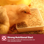 Purina Start & Grow Chick Feed offers easy-feeding crumble with balanced protein in official packaging. Available at Curat Cart.