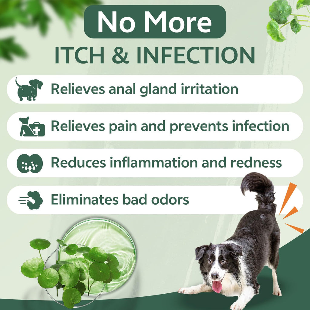 Experience relief with puyrzoe Dog Anal Gland Spray, 100% authentic and available in India at Curat Cart. Say goodbye to irritation.