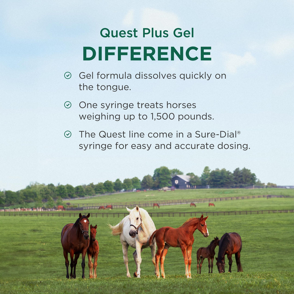 Discover Quest Plus Dewormer for Horses, a premium imported solution with quick-dissolving gel for effective treatment. Available at Curat Cart.