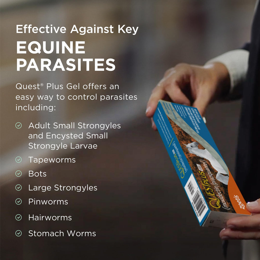 Quest Plus Dewormer for Horses in high-quality packaging, effectively combats key equine parasites. Available at Curat Cart.