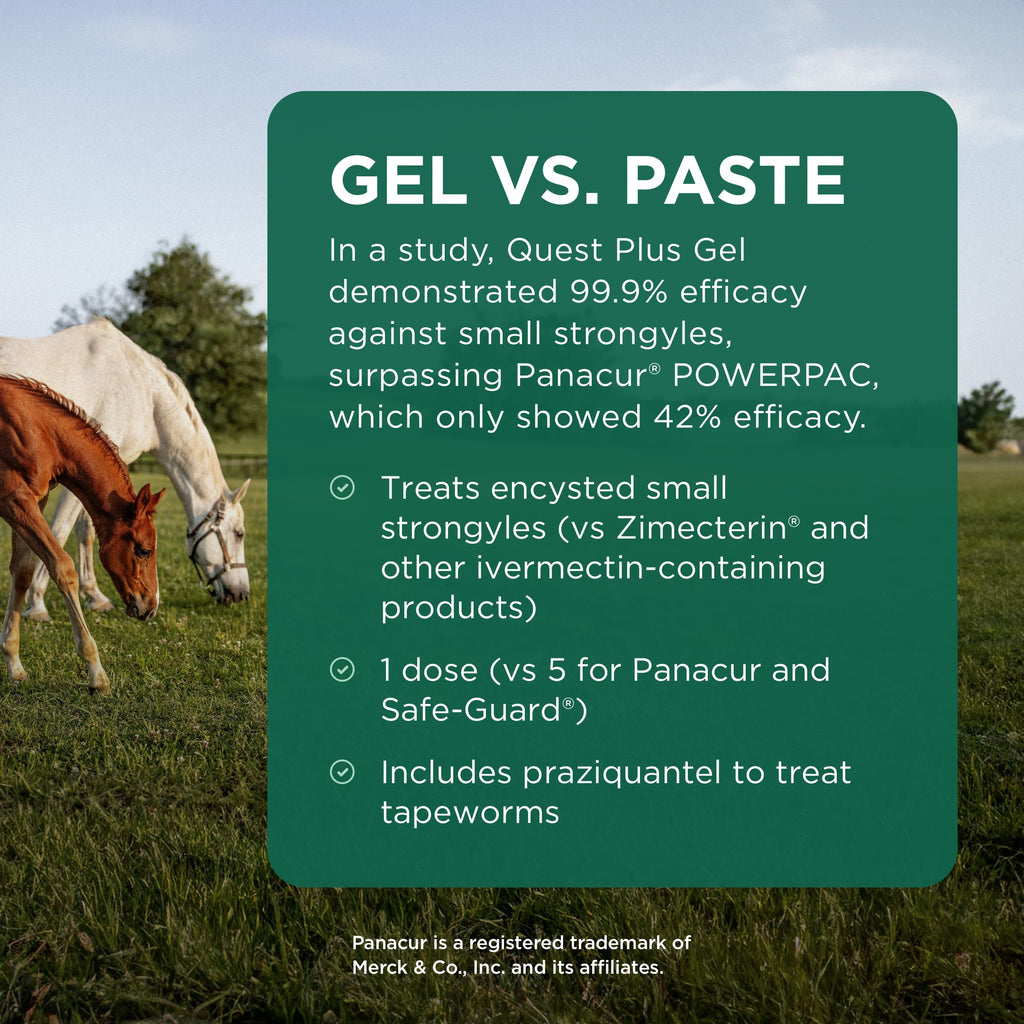 Quest Plus Dewormer for Horses effectively treats small strongyles and tapeworms. Perfect for optimal equine health. Available at Curat Cart.