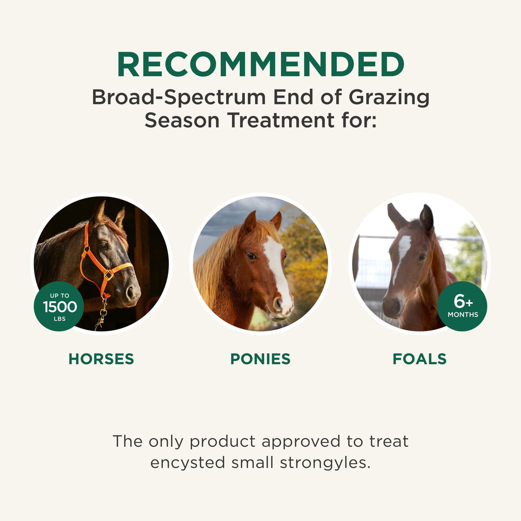Quest Plus Dewormer for Horses, trusted treatment for equines in India. Available at Curat Cart for your horse care needs.