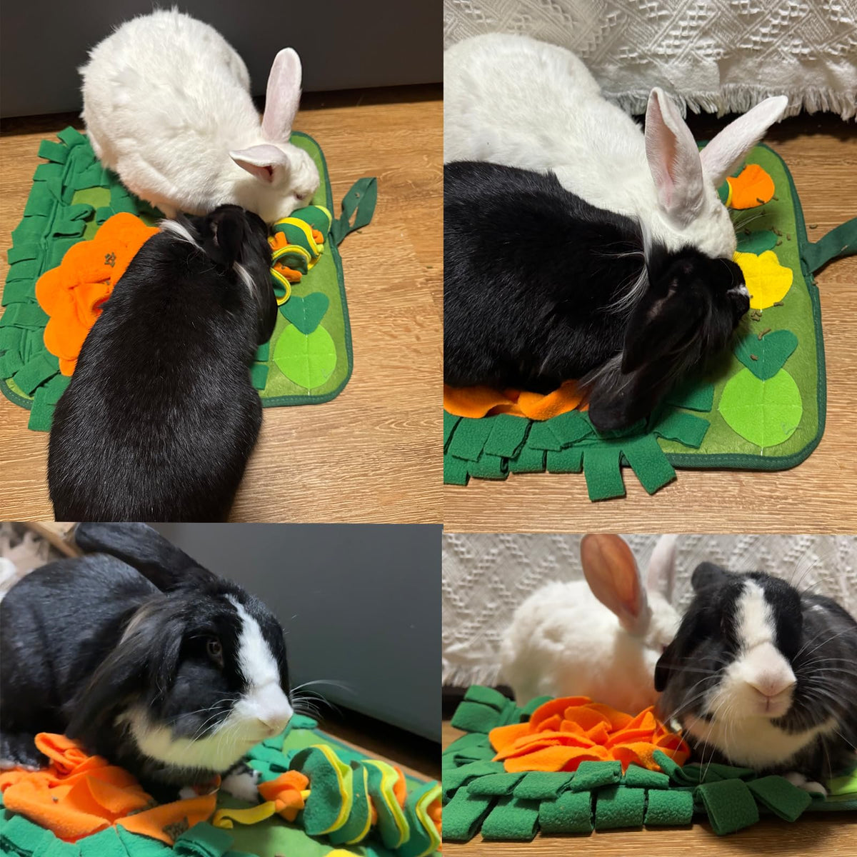 Premium imported Rabbit Foraging Mat with vibrant colors, designed for fun and enrichment. Available at Curat Cart.