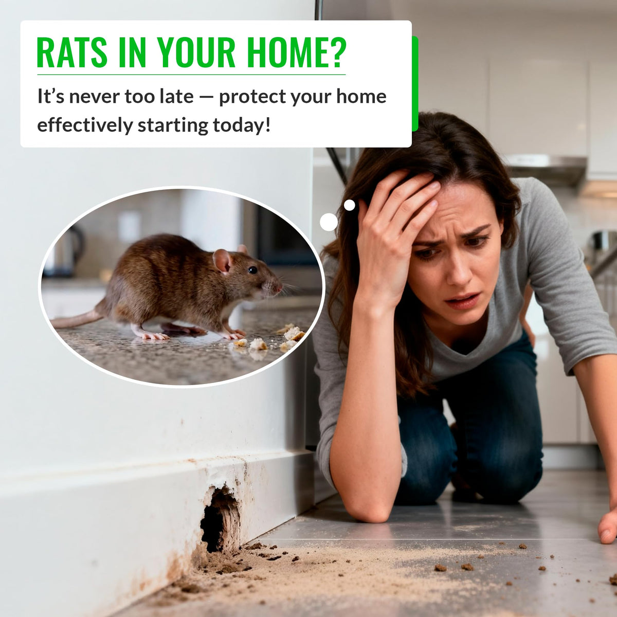 Combat rat infestations with effective Rat Bait Stations from Curat Cart. Safeguard your home today with reliable solutions.