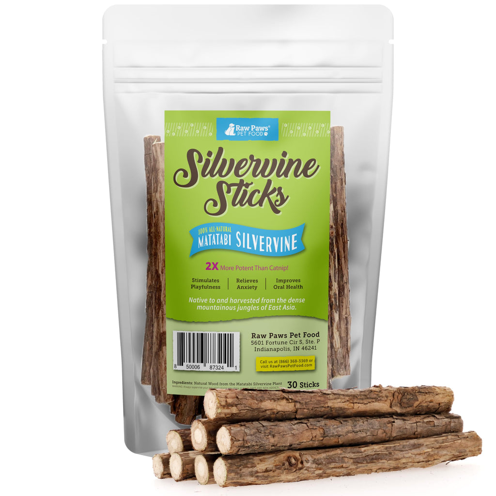 Premium imported Raw Paws Silvervine Sticks for Cats, an international favorite that enhances playtime and relieves boredom. Available at Curat Cart.