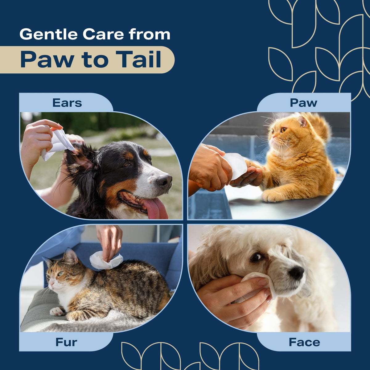Refreshify Dog Wipes for Paws provide gentle care for your pet's ears, paws, fur, and face. Perfect for daily use. Available at Curat Cart.