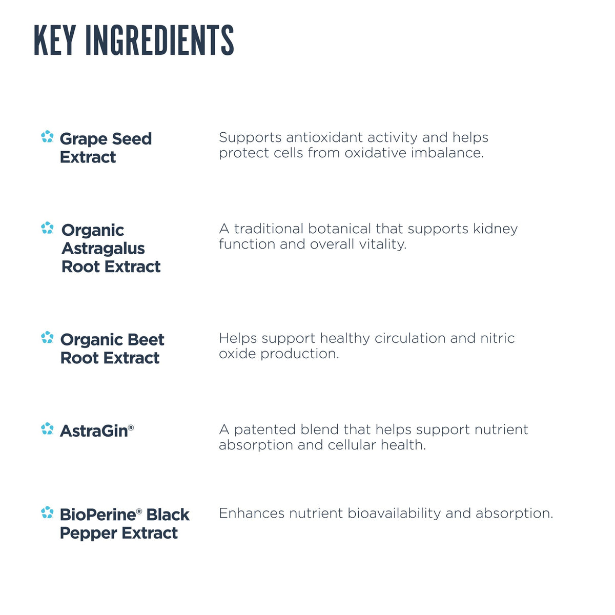 Revive MD Kidney Support Supplement features key ingredients for enhanced kidney health. Specially curated by Curat Cart.