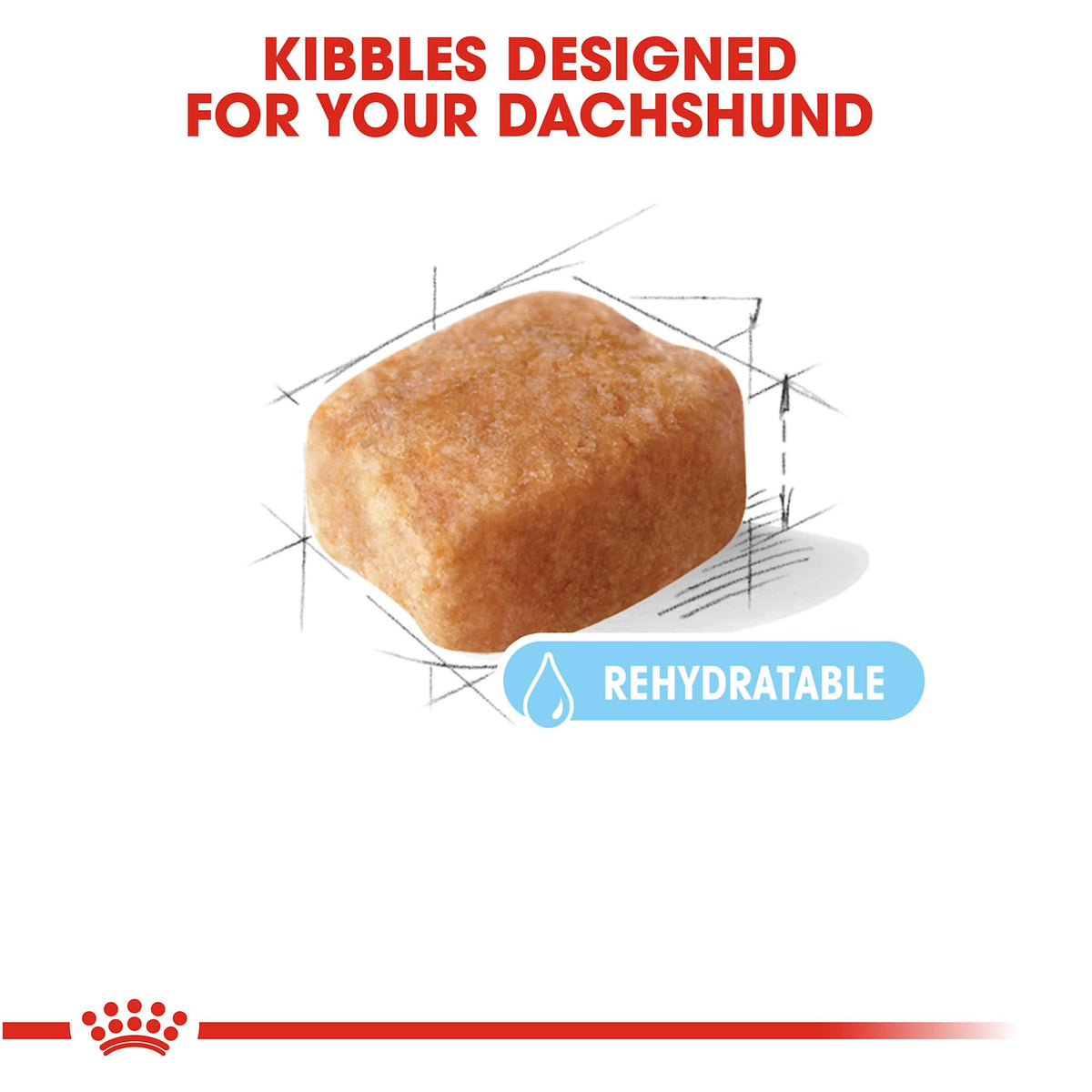 Premium Royal Canin Dachshund Adult Dog Food features high-quality, rehydratable kibble, perfect for your pet's health. Available at Curat Cart.