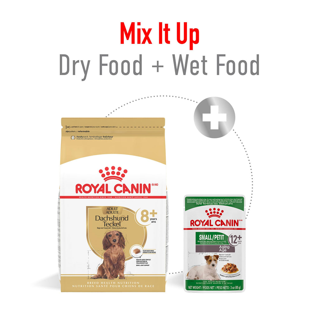 Royal Canin Dachshund Adult Dog Food offers balanced nutrition, perfect for daily feeding. Available at Curat Cart.