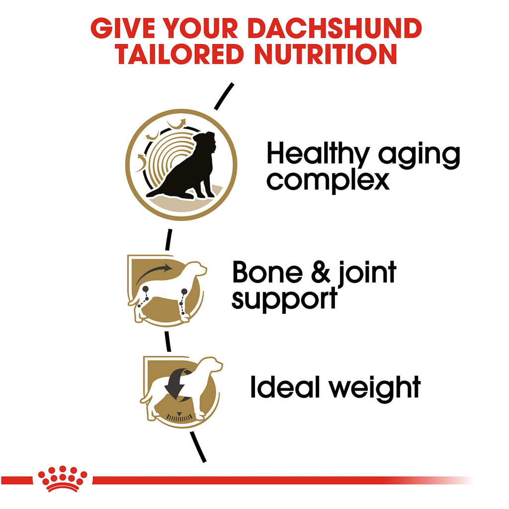 Royal Canin Dachshund Adult Dog Food offers tailored nutrition for healthy aging, bone support, and ideal weight, exclusively at Curat Cart.