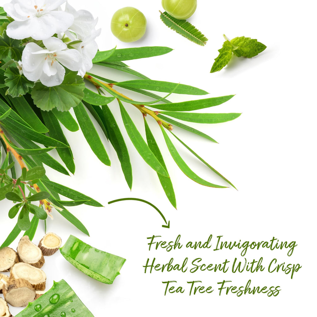 Experience Roycederm Tea Tree Body Wash with fresh herbal scent. Order online and enjoy invigorating freshness today!