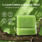 Roycederm Tea Tree Body Wash & Soap offers a gentle, sulfate-free cleansing experience. Order online for quick delivery.