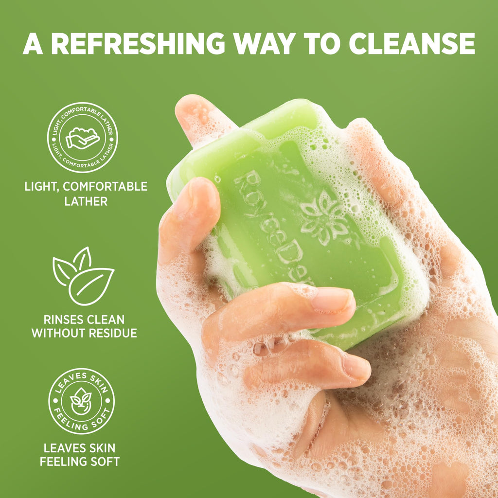 Experience the authentic Roycederm Tea Tree Body Wash & Soap, providing a refreshing cleanse and soft skin feel.