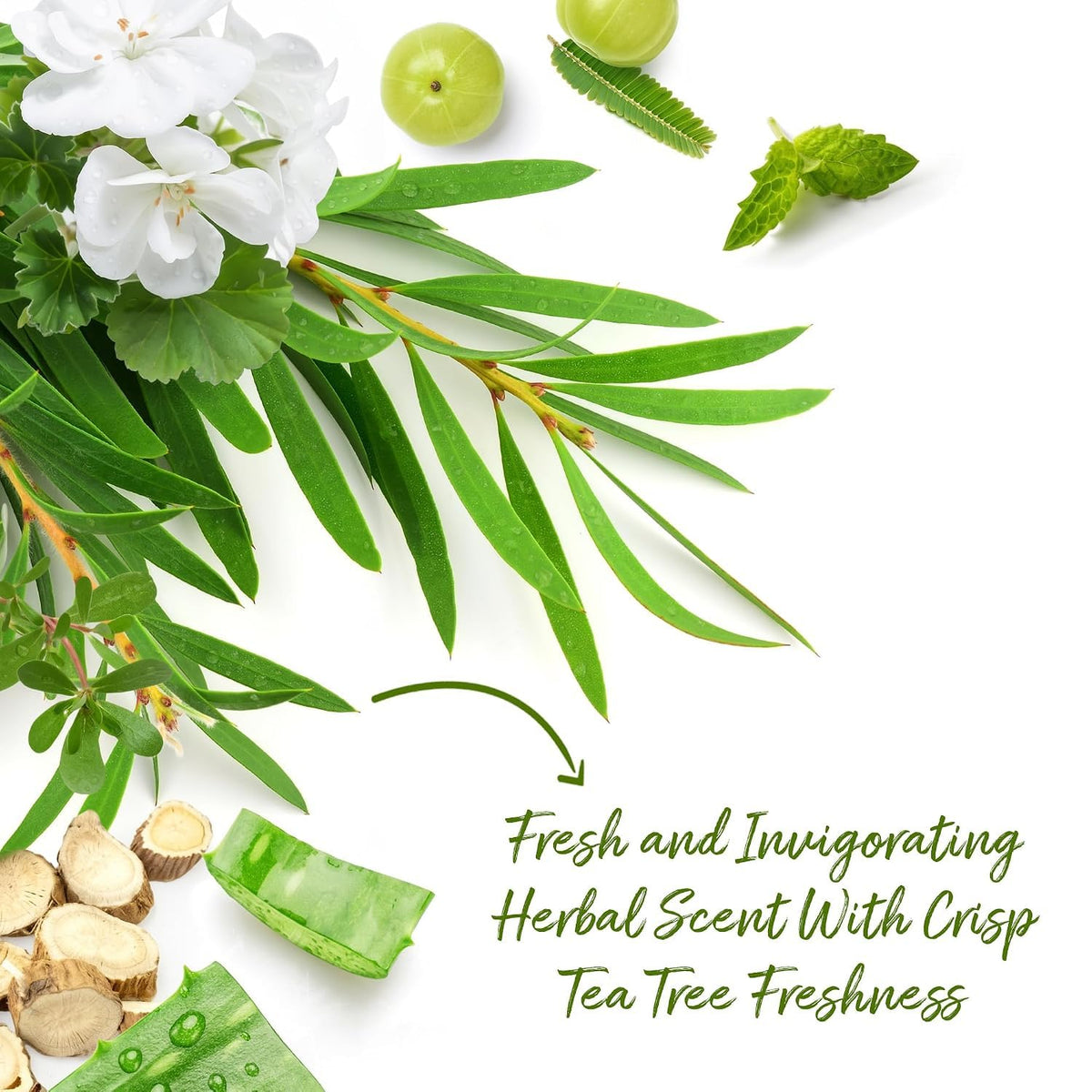 Roycederm Tea Tree Body Wash & Soap, 100% genuine. Fresh herbal scent with tea tree freshness, enriched with natural ingredients.