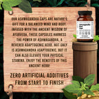 Discover Santa Cruz Ashwagandha Capsules, specially curated by Curat Cart for enhanced physical stamina and mental balance.
