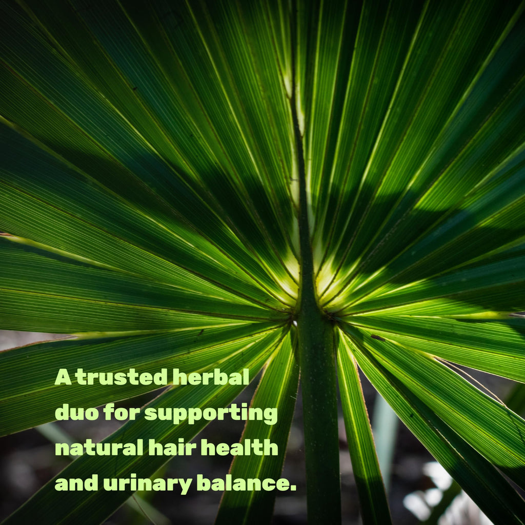 Discover the Saw Palmetto Supplement with Pumpkin Seed, specially curated by Curat Cart for natural hair health and urinary balance.