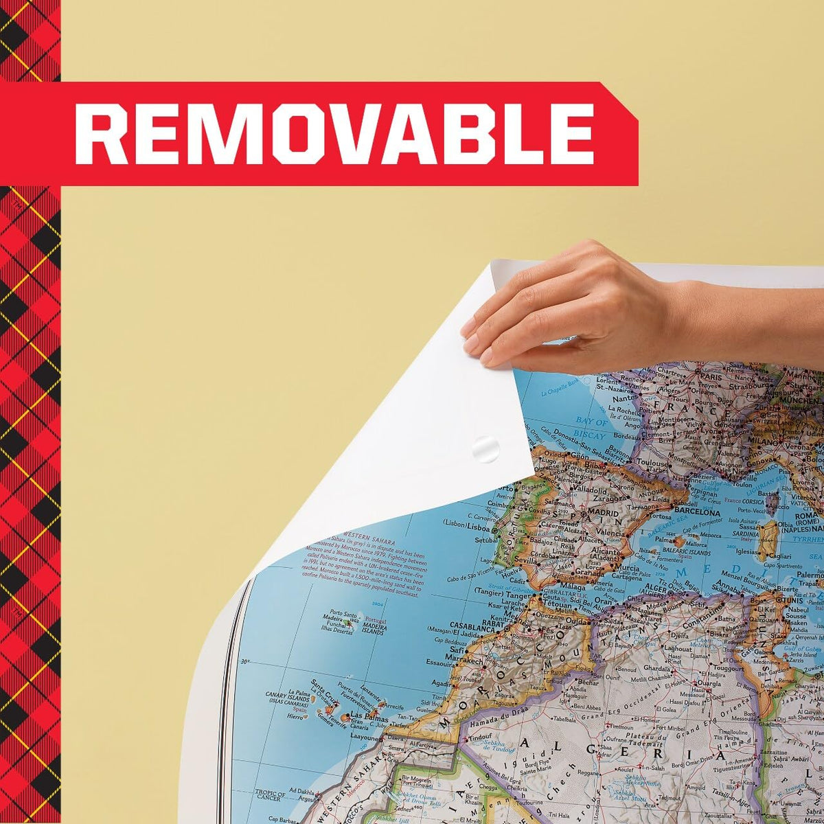 Scotch Removable Adhesive Putty, specially curated by Curat Cart, ensures your maps and posters stay up without damage.