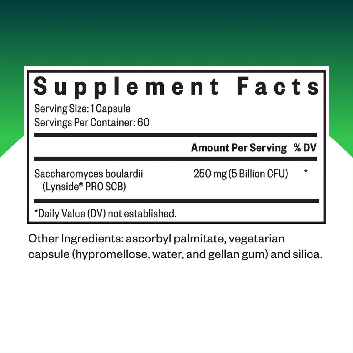Discover Seeking Health Saccharomyces Boulardii, a trusted probiotic available in India at Curat Cart. 100% Authentic and effective.